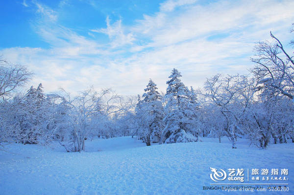 雪龙峰——黑龙江冬日观景最高峰，我们来了！
