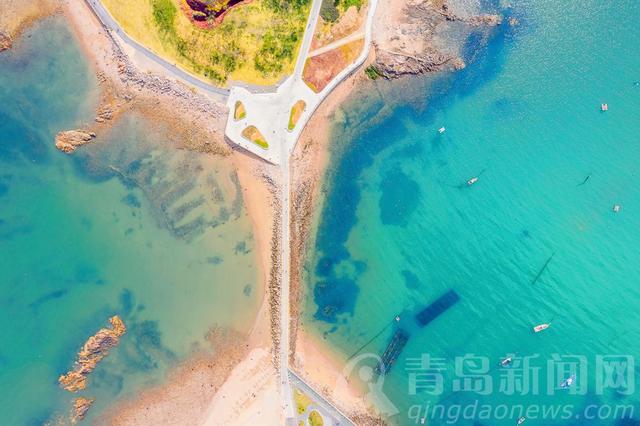 秋日小麦岛 萌翻了有没有！