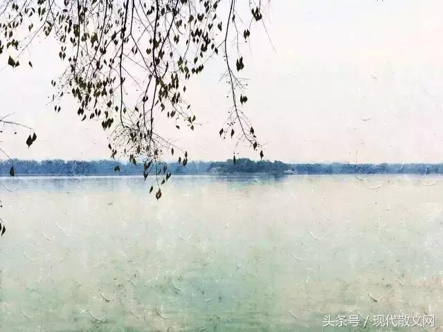 张爱玲：一别就是一生
