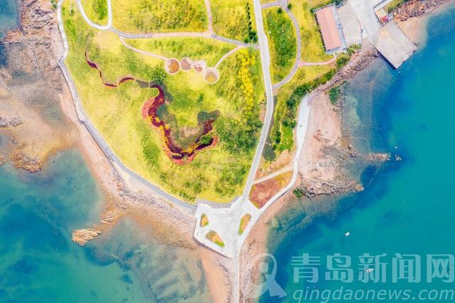 秋日小麦岛 萌翻了有没有！