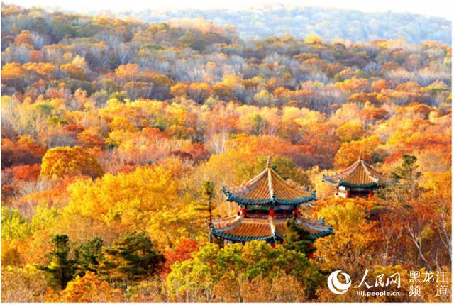 美的令人惊叹的黑龙江秋景
