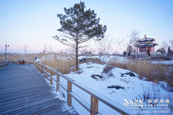 【黑龙江】零下23度--去冰雪黑河不可错过的五大极致体验