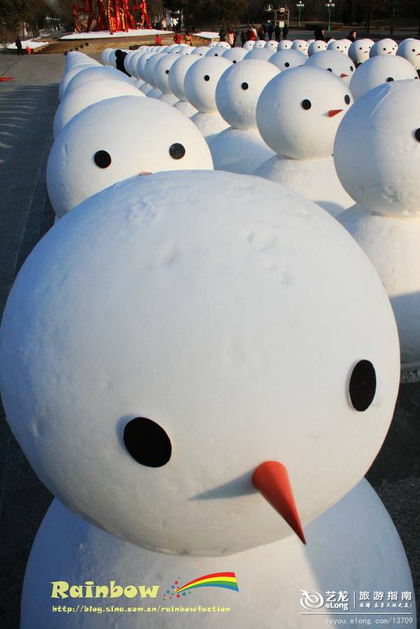 【黑龙江】冰天雪地畅游哈尔滨