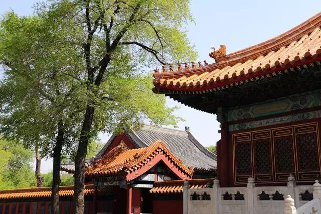 “如果古建筑会说话” 带你走进哈尔滨文庙
