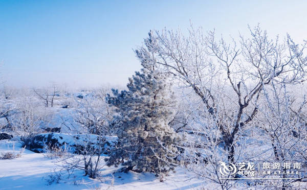 【黑龙江】零下23度--去冰雪黑河不可错过的五大极致体验