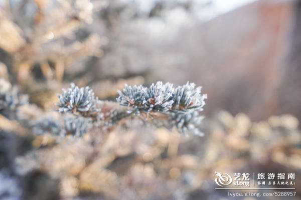【黑龙江】零下23度--去冰雪黑河不可错过的五大极致体验