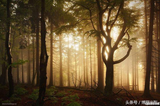 格林童话真实风景