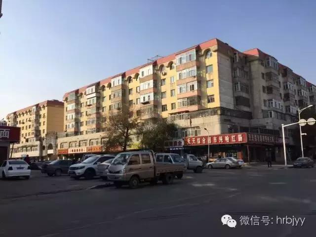哈尔滨三棵树的过去与现在