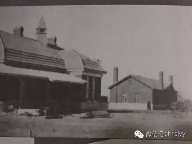 哈尔滨三棵树的过去与现在