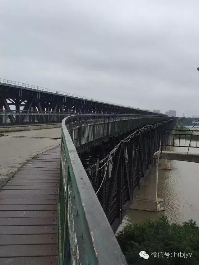 哈尔滨三棵树的过去与现在