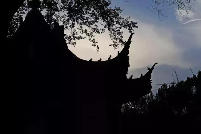 哈尔滨的佛教寺庙——极乐寺