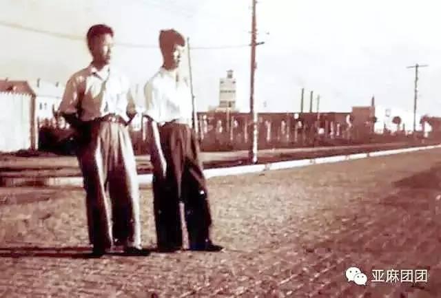 哈尔滨“亚麻人”深情忆“家园”