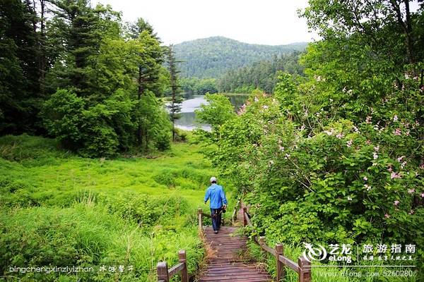 一场穿越时空的旅行：镜泊湖火山地下森林