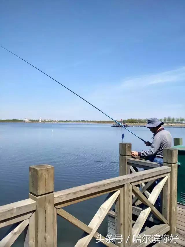 哈尔滨新景：江河之间有一座“莲花岛”，站在58米高的观音脚下