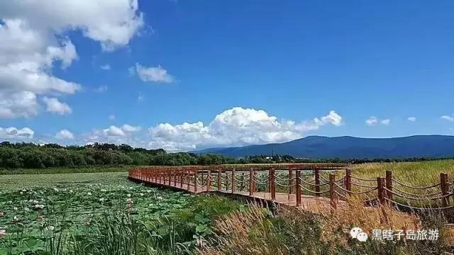微信图片_20170721170641