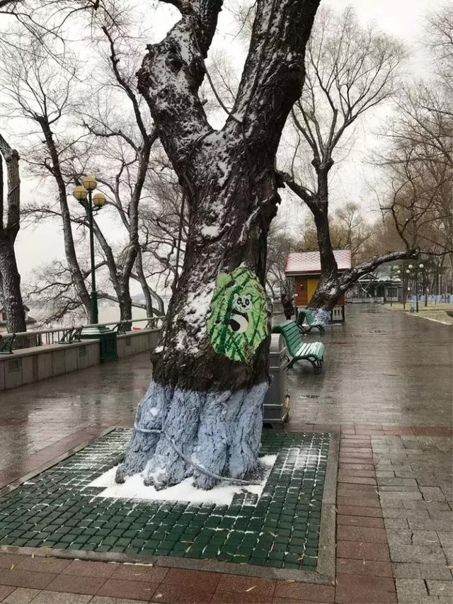 哈尔滨,风雪中的松花江畔