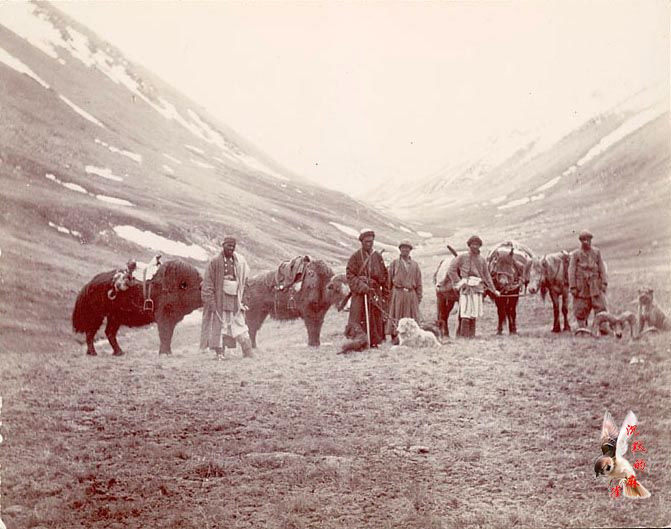 英国旅行家拍摄的1898年新疆影像【下】 - 沉默的麻雀 - 沉默的麻雀的博客