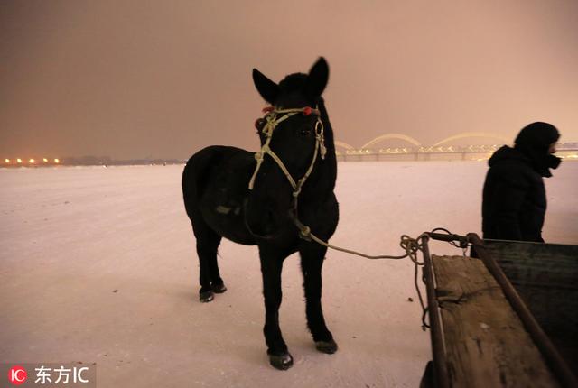 哈尔滨降雪松花江如白纸 老江桥上市民穿行犹如电影海报