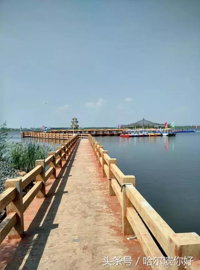 哈尔滨新景：江河之间有一座“莲花岛”，站在58米高的观音脚下