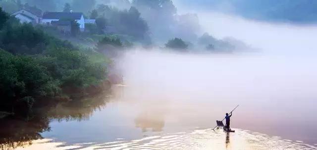 雨中桃花潭，美成了诗！