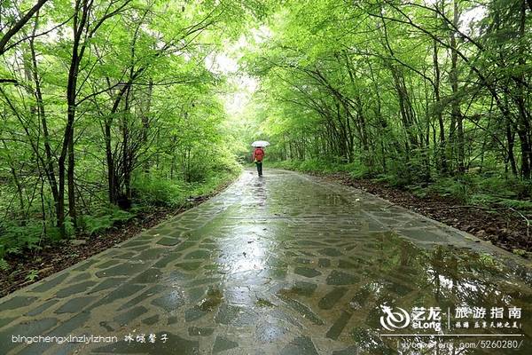 一场穿越时空的旅行：镜泊湖火山地下森林