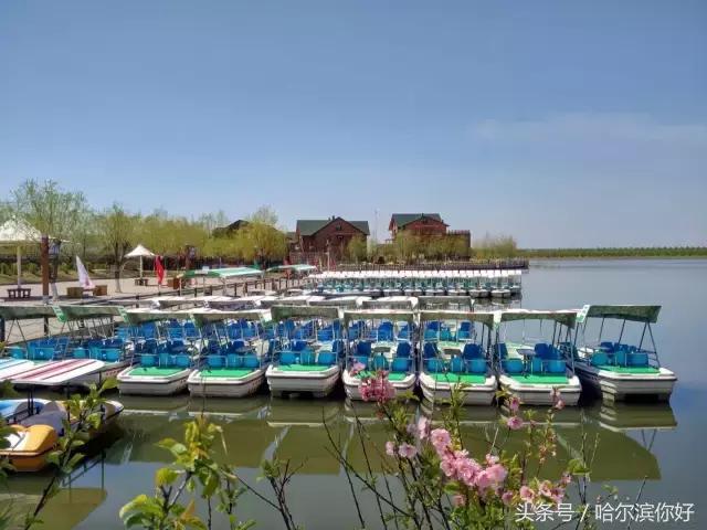 哈尔滨新景：江河之间有一座“莲花岛”，站在58米高的观音脚下