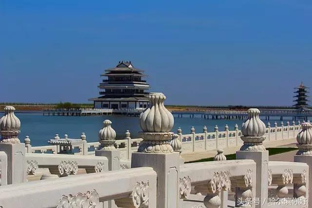哈尔滨新景：江河之间有一座“莲花岛”，站在58米高的观音脚下