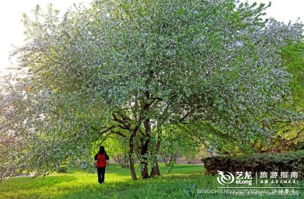 五月芬芳，去伏尔加庄园赴一场春花的烂漫