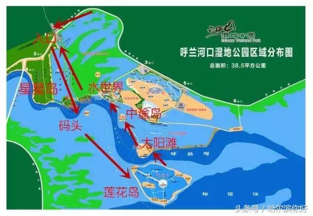 哈尔滨新景：江河之间有一座“莲花岛”，站在58米高的观音脚下