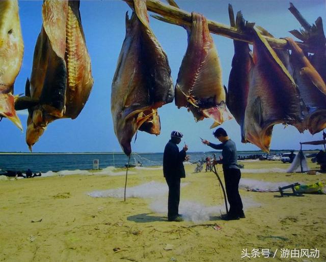东方第一县——抚远