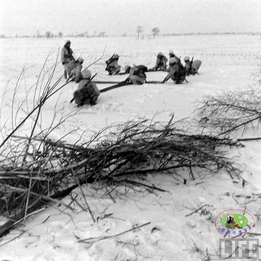 48年辽沈大战前的沈阳奉天的国军【六】 - 沉默的麻雀 - 沉默的麻雀的博客
