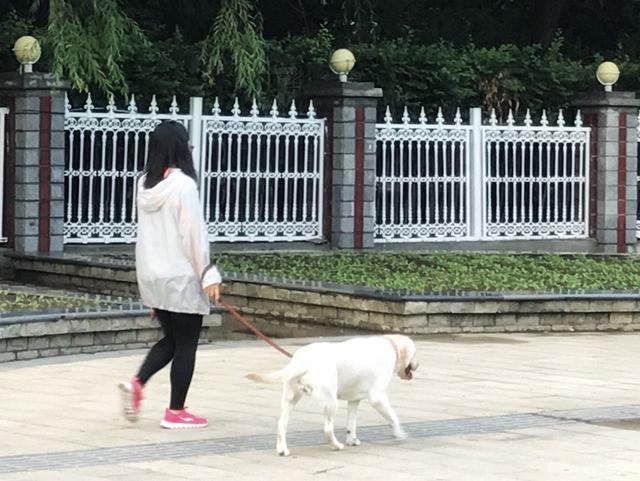 黑龙江大庆：黎明湖