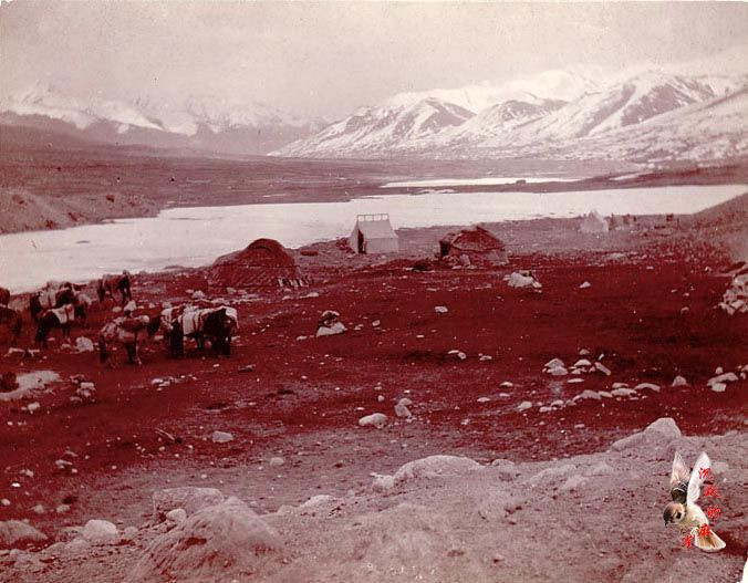 英国旅行家拍摄的1898年新疆影像【下】 - 沉默的麻雀 - 沉默的麻雀的博客