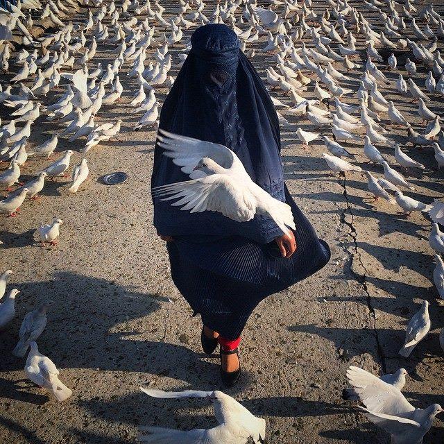《三峰摄影》伊朗摄影师用手机拍出一幕幕极具故事性的精彩影像