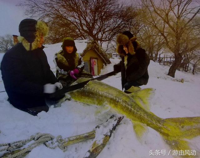 东方第一县——抚远