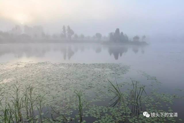 宝清风光 烟雨金水湾