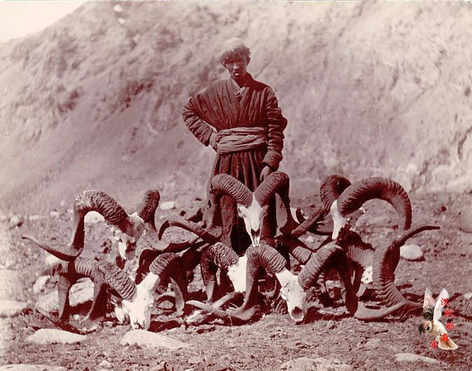 英国旅行家拍摄的1898年新疆影像【下】 - 沉默的麻雀 - 沉默的麻雀的博客