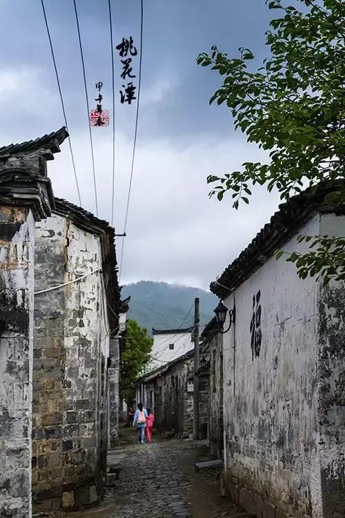 雨中桃花潭，美成了诗！