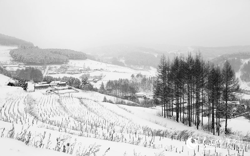 图说中国：水墨雪村【2】