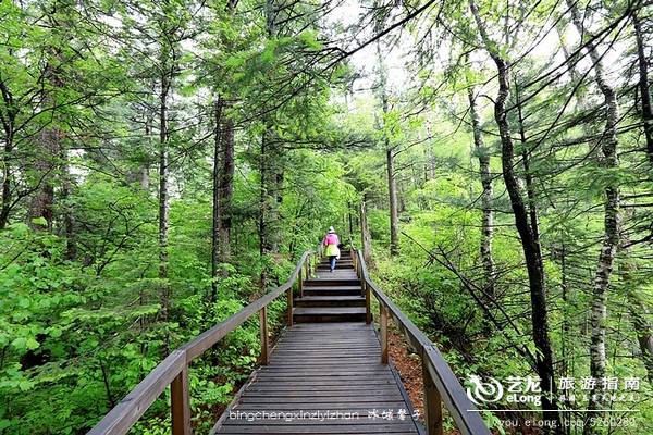 一场穿越时空的旅行：镜泊湖火山地下森林