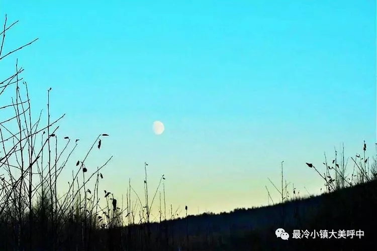 640.webp (9)