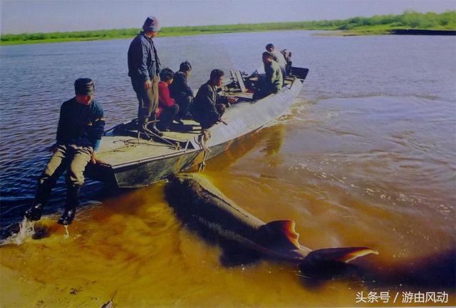 东方第一县——抚远