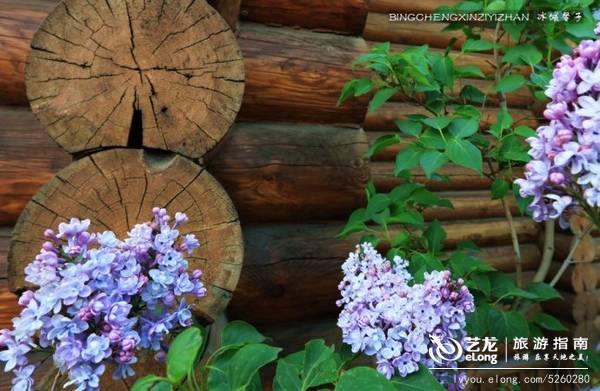 五月芬芳，去伏尔加庄园赴一场春花的烂漫