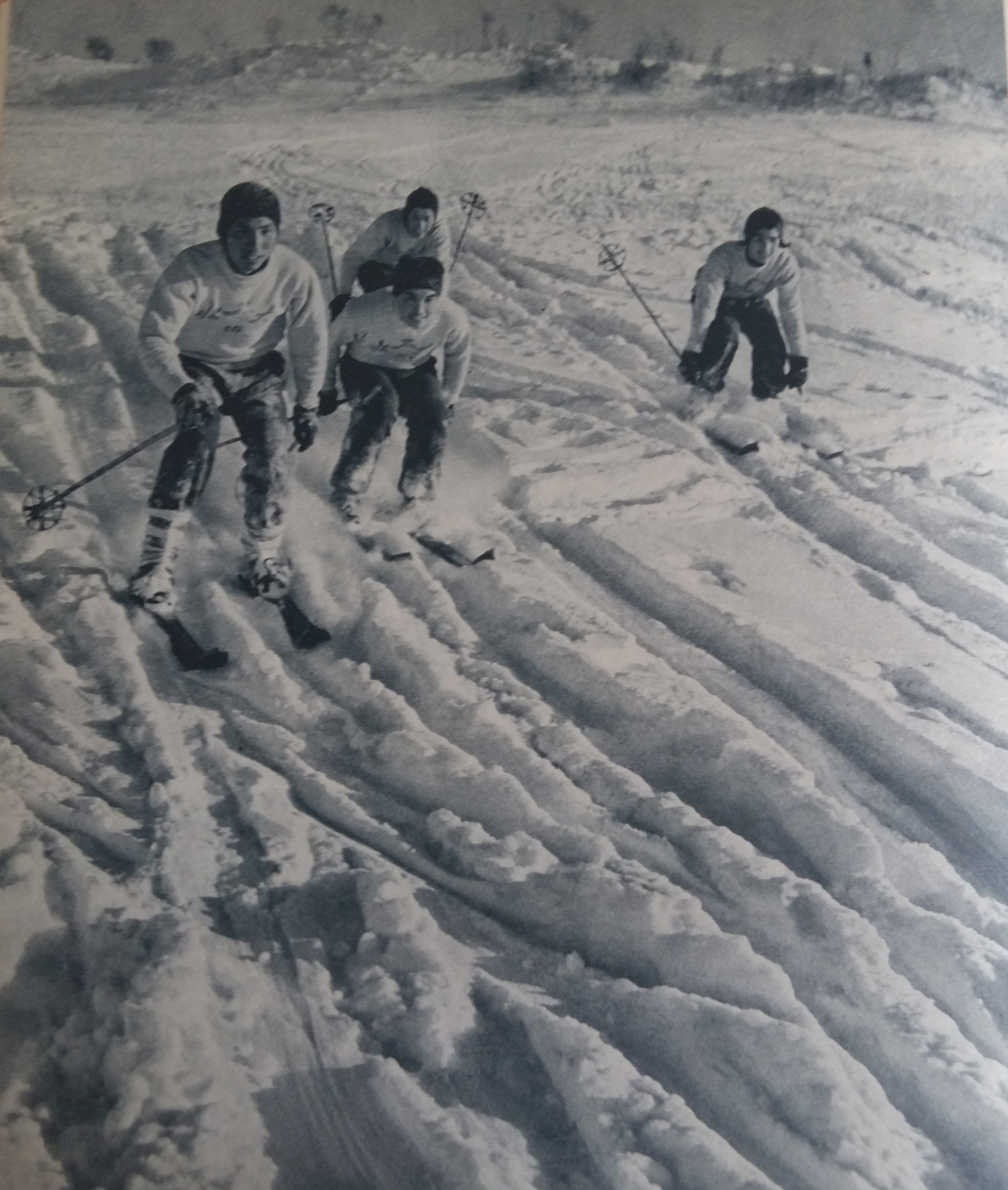 浴雪