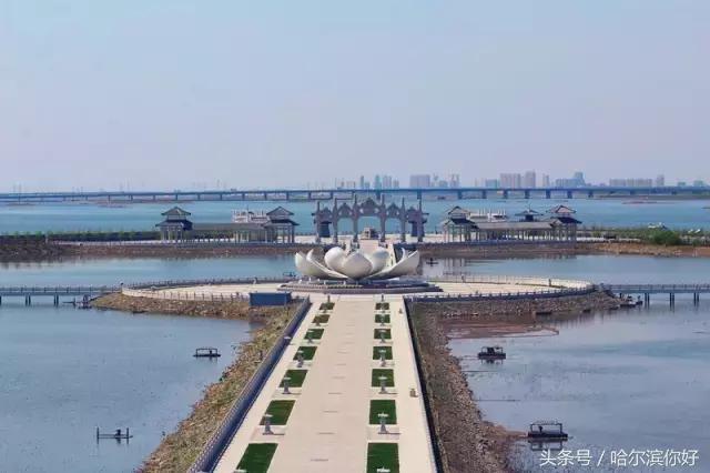 哈尔滨新景：江河之间有一座“莲花岛”，站在58米高的观音脚下