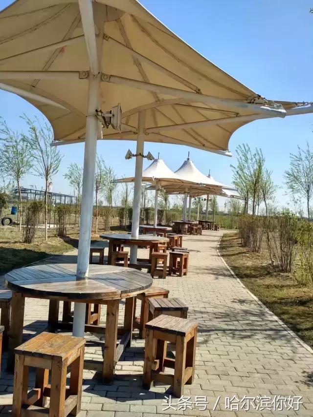 哈尔滨新景：江河之间有一座“莲花岛”，站在58米高的观音脚下