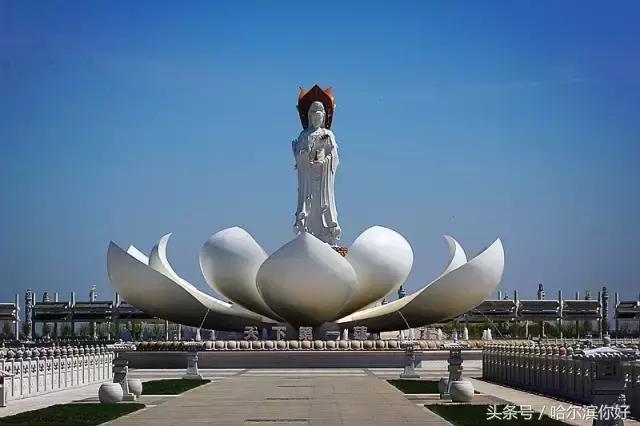 哈尔滨新景：江河之间有一座“莲花岛”，站在58米高的观音脚下