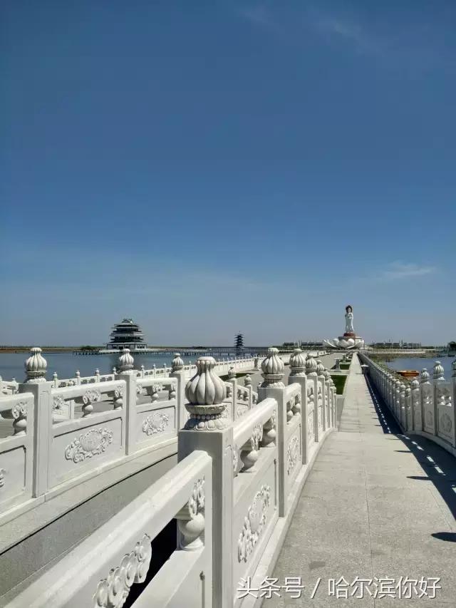 哈尔滨新景：江河之间有一座“莲花岛”，站在58米高的观音脚下