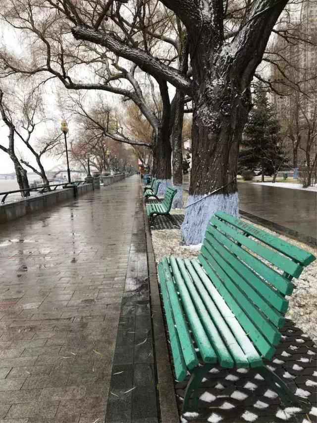 哈尔滨,风雪中的松花江畔