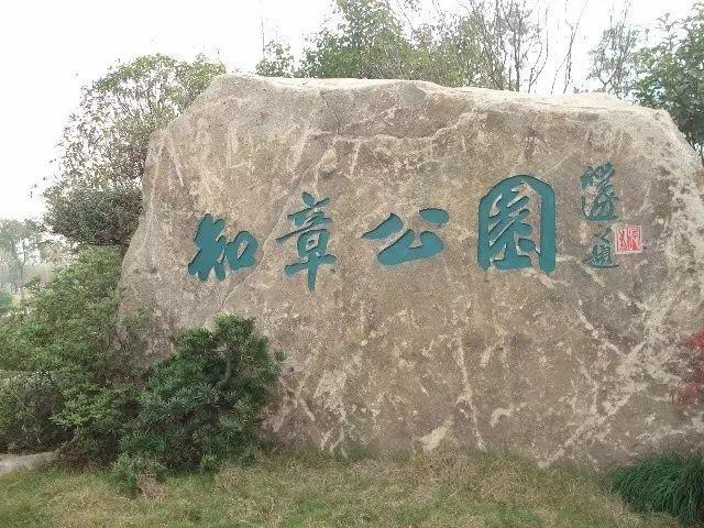 贺知章：会夸人的人最好命